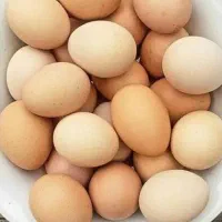 تخم مرغ محلی