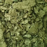 خاک کبوتر