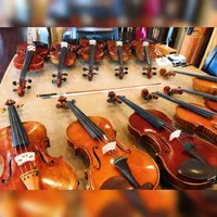 عرضه ویولن های دست ساز حرفه‌ای و نیمه حرفه‌ای