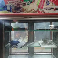 یخچال تمیز همه چی سالم مشتری واقعی تماس بگیر