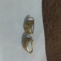 گل گوش طلا|جواهرات|شیراز, میانرود|دیوار