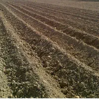 زمین کشاوزی