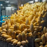 نگهبانی شبانه