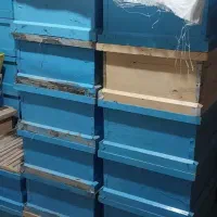 طبق نو ورامکا نو ودست دوم