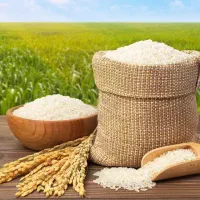 برنج طارم هاشمی درجه یک کیفیت بی نظیر بوجاری یکدست
