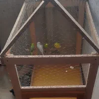 قفس بزرگ واسه انواع پرنده