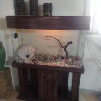 اکواریوم مبله