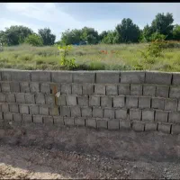 زمین کشاورزی