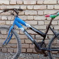 چند  تا مرغ ویک دوچرخه ویک بوقلمون|حیوانات مزرعه|فارسان, |دیوار