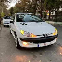 206 SD V8 TU5|خودرو سواری و وانت|شاهرود, |دیوار