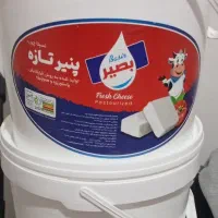 سطل پنیر