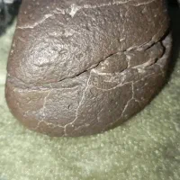 فروش شهاب سنگهای اصیل و کم نظیر