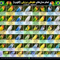 خرید و فروش پرنده