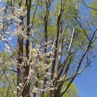 منزل مسکونی بهرغان