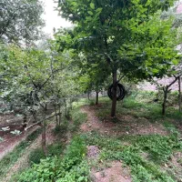 فروش-زمین-296-متری-میگون-نو-OUSHAN-VILLA