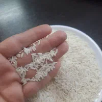 برنج سالم و نیم دانه علی کاظمی