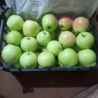 سیب گلاب درجه 1
