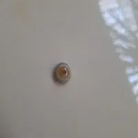 سنگ باباقوری