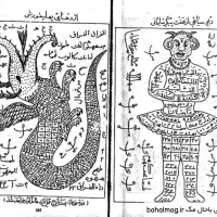 فال بصورت ویدیو و تلفنی هست بالا ویدیو فال گذاشتم|خدمات پذیرایی، مراسم|تبریز, |دیوار