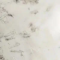 فروش کپسول CNG در دیواندره