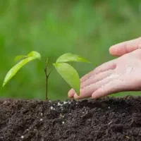 کودهای ارگانیک سبو سیب سلامت|خدمات باغبانی و درختکاری|قره ضیاالدین, |دیوار