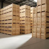 درآمد چندمیلیون دلاری با صادرات چوب نهال صـنوبر|خدمات باغبانی و درختکاری|اصفهان, تیران|دیوار