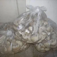 سر نون نان ساندویچی روگن