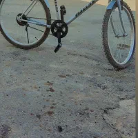 باسلام|دوچرخه، اسکیت، اسکوتر|زابل, |دیوار