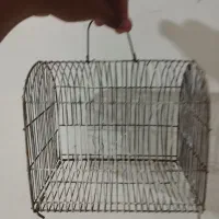 قفس