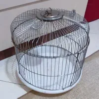 قفس پرنده