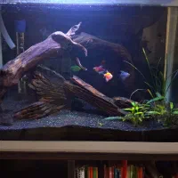 آکواریوم فول لوازم شیشه خم خارجی