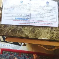 پراید 92 LE|خودرو سواری و وانت|اردبیل, |دیوار