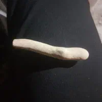 فروش مهره کوهی