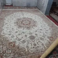 فرش|فرش|اسفراین, |دیوار