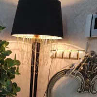 آباژور کنارسالنی