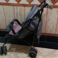 کالسکه دسته عصایی ،مارک دلیجان