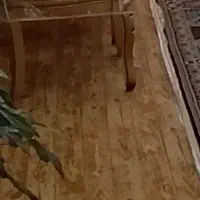 موگت نو بدون هیچ عیب وایرادی