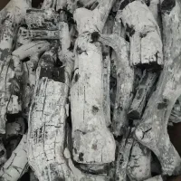زغال پسته سفید دهکده