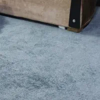 پالاز موکت 55متر