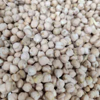 پخش خوراک دام و طیور و علافی و حبوبات و برنج|عمده‌فروشی|مهربان, |دیوار