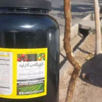 انجام خدمات باغبانی باغچه، هرس، کاشت|خدمات باغبانی و درختکاری|قم, وادی السلام|دیوار