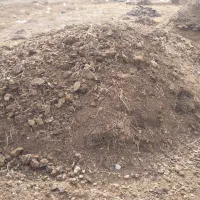 کود حیوانی|لوازم جانبی حیوانات|نوشین شهر, |دیوار