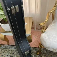 کاور وهاردکیس درحدنو|گیتار، بیس، امپلیفایر|تهران, پرستار|دیوار