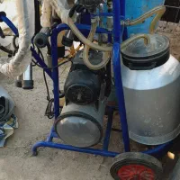شیر دوش کاملا تمیز