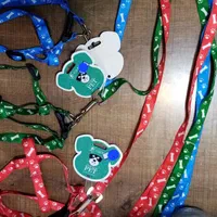 قلاده سگ|لوازم جانبی حیوانات|ارومیه, |دیوار