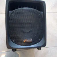 باند پستیو۱۲اینچ اس پانکس