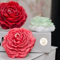 شمع در همه مدل و طرح