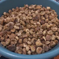 انجیر بومی|خوردنی و آشامیدنی|لردگان, |دیوار