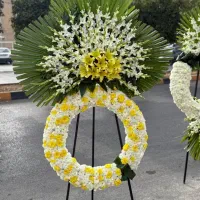 گل فروش و تزیین کار|گل و گیاه طبیعی|شیراز, زرهی|دیوار