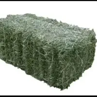 یونجه خشک انباری